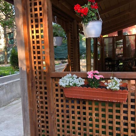 Casa Anina Hotel Exterior photo