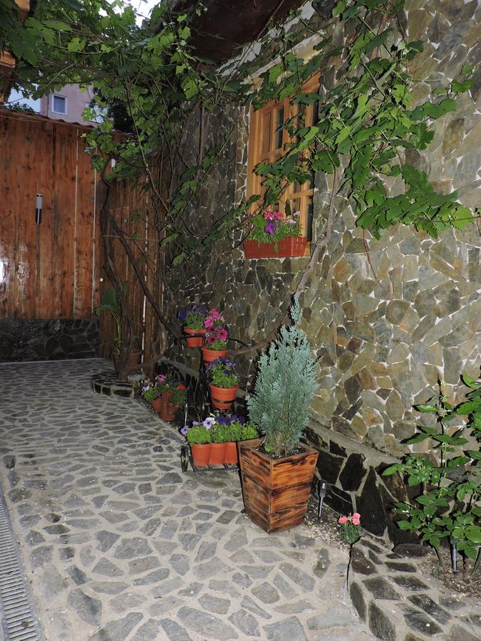 Casa Anina Hotel Exterior photo